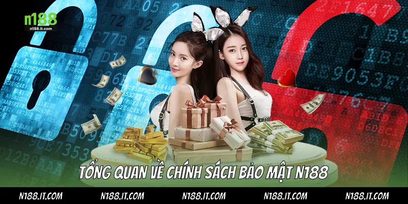 Tổng quan về chính sách bảo mật N188